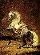 Theodore   Gericault cheval gris pommele Spain oil painting artist